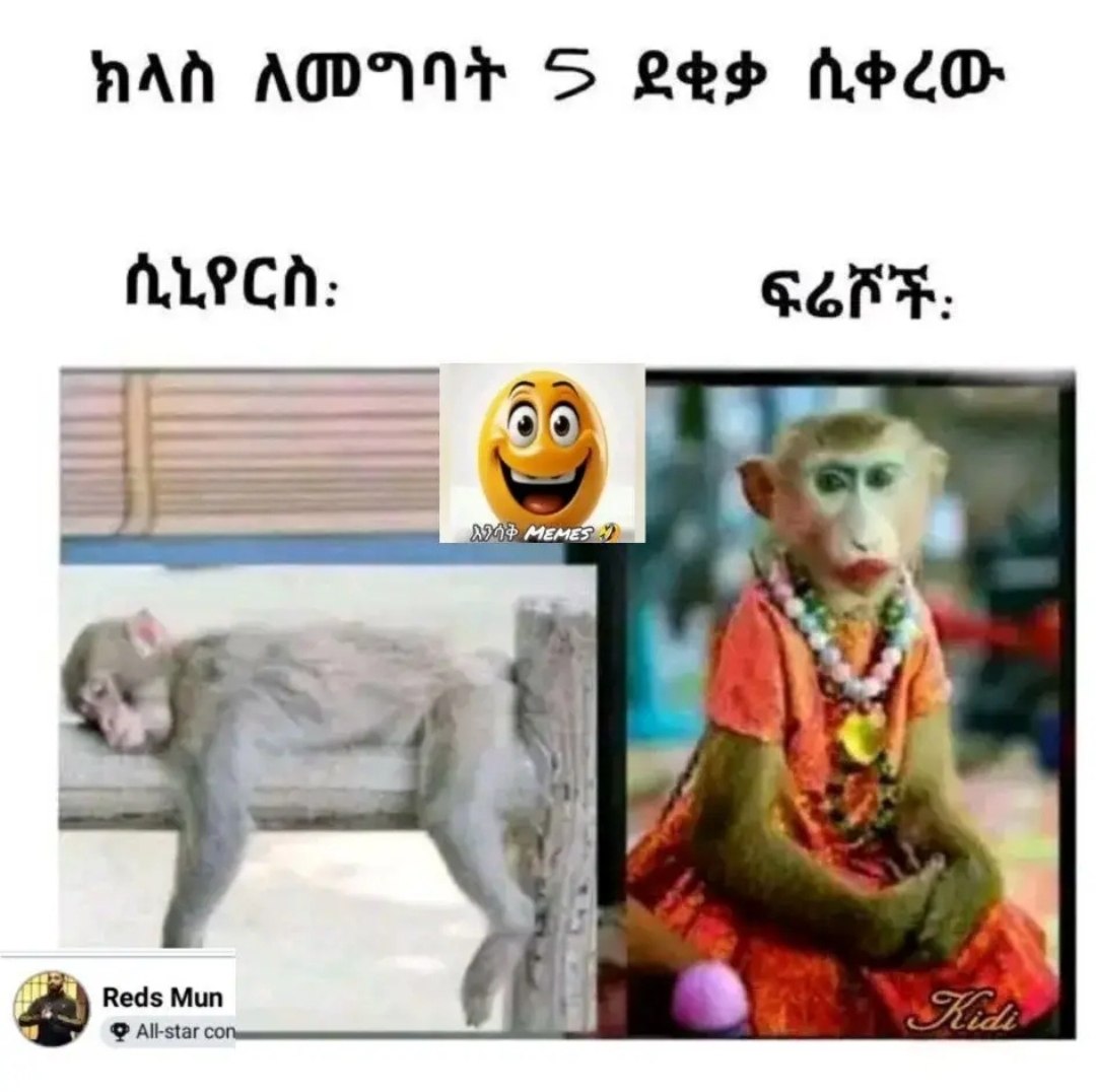 ሲቀረው ክላስ ለመግባት = ደቂቃ ፍሬሾች፡ ሲኒየርስ፡ heer HAA ADIN S Leow Sn: ALPCA: